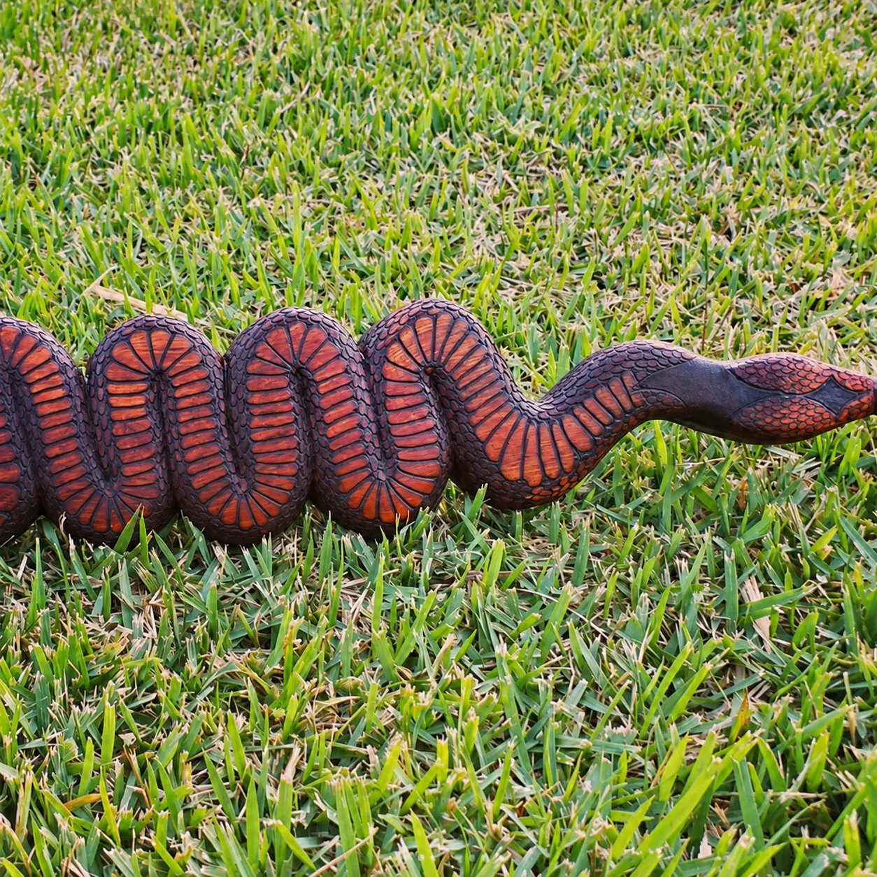 Tepi serpente — tepis, foto 4 de 8