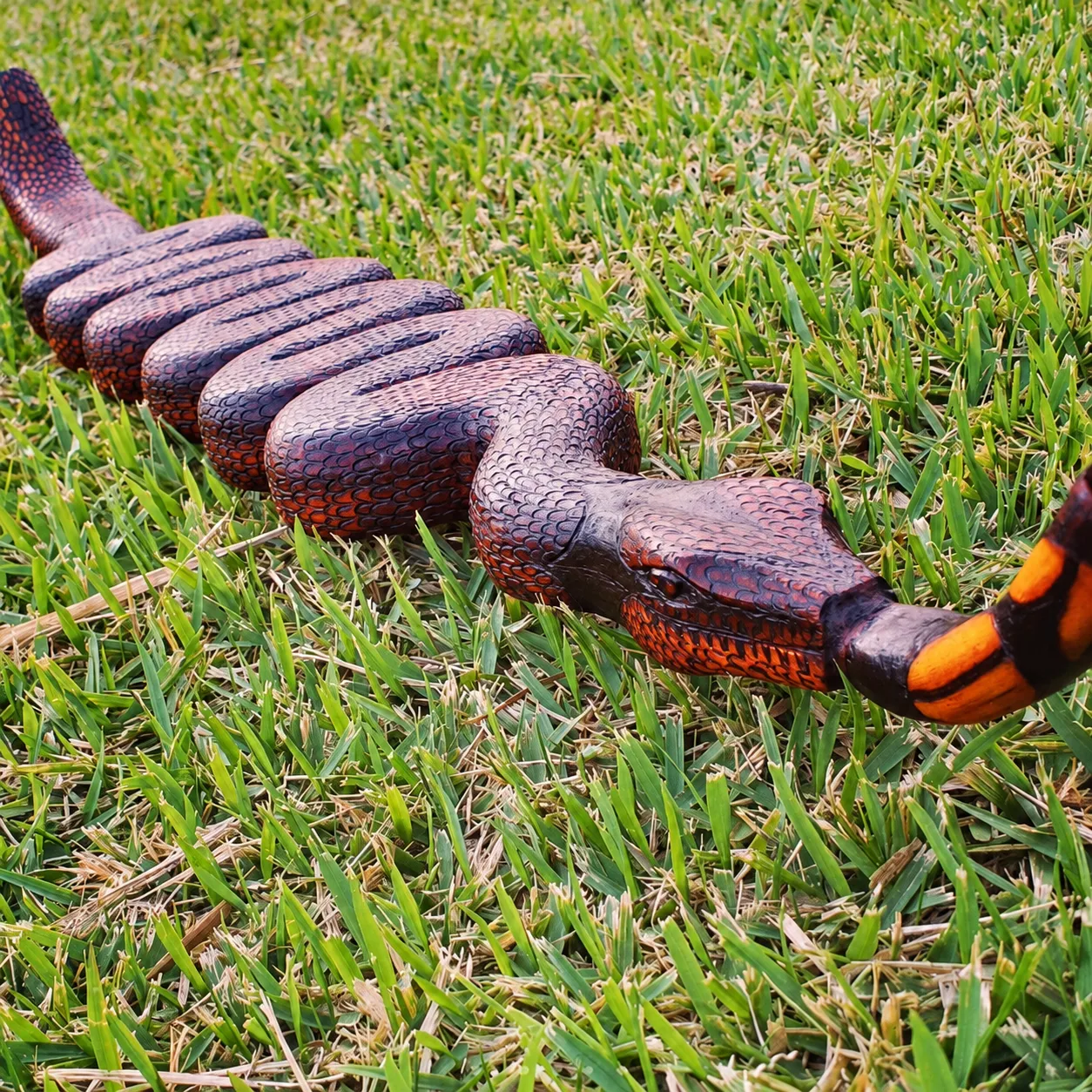 Tepi serpente — tepis, foto 7 de 8