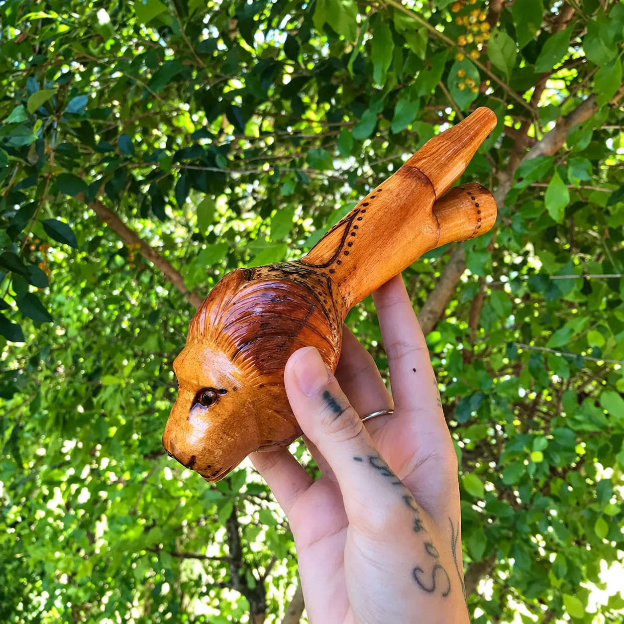 Kuripe 3 — kuripes, foto 1 de 1
